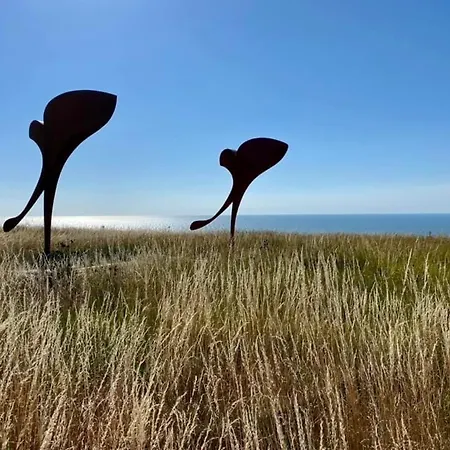 Appartement à 50m Rêves étoilés Les Bains De Mers-les-Bains