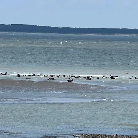 A 50m Reves Etoiles Les Bains De Апартаменты