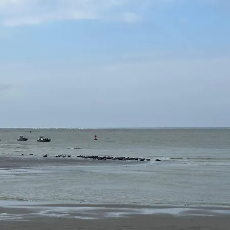 A 50m Reves Etoiles Les Bains De *